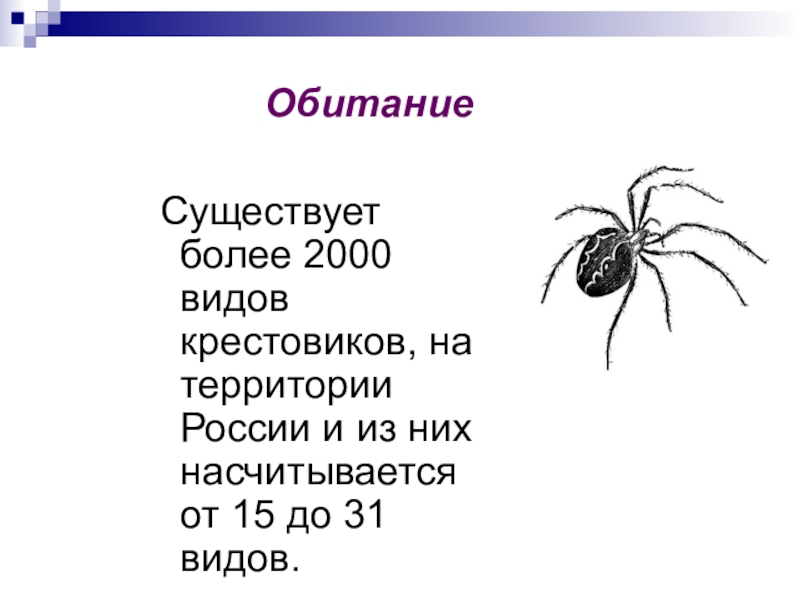 ОбитаниеСуществует более 2000 видов крестовиков, на территории России и из них насчитывается от 15 до 31 видов.