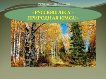 Презентация к Всероссийскому уроку Российские дни леса