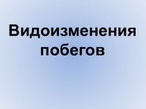 Презентация по биологии на тему Видоизменения побегов (6 класс)