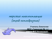 Презентация  по биологии для 7 класса по теме Морские млекопитающие
