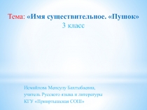 Презентация по русскому языкуСуществительное .Пушок