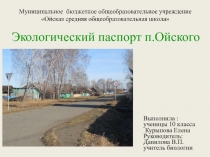 Презентация исследовательской работы Экологический паспорт