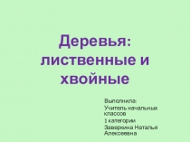 Презентация по устной речи на тему Деревья:лиственные и хвойные(3 класс VIII вида)