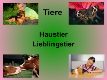 Презентация к уроку Дикие животные России