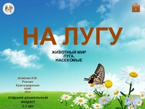 Игра На лугу - насекомые (ТП Экран)