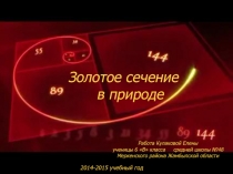 Презентация проект Золотое сечение