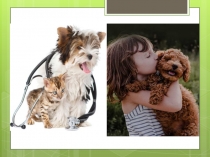 Открытый урок по теме Визит к ветеринару, 5Д класс