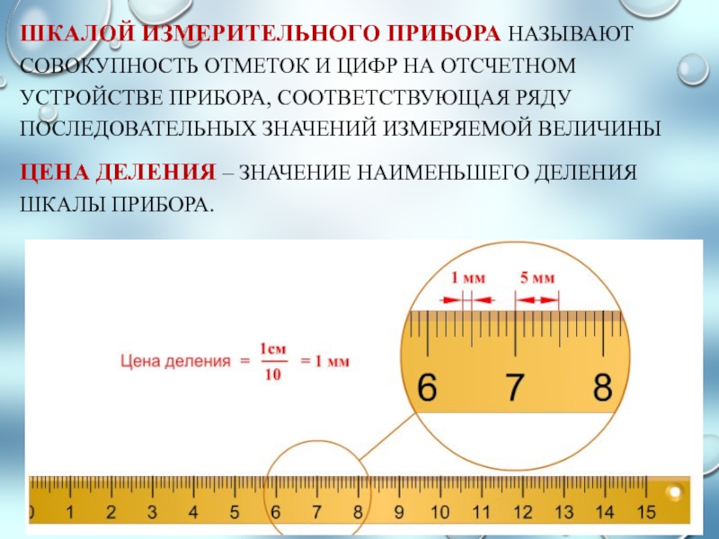 Измерение физических характеристик домашних животных презентация