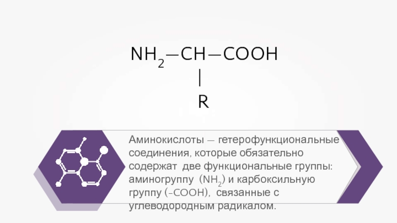 Аминокислоты Реферат По Химии