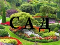 Презентация по окружающему миру на тему Что растёт у школы. (1 класс)