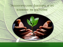 Презентация по биологии на тему: Экологические факторы и их влияние на растения (5 класс)