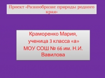 Презентация проекта Разнообразие природы родного края