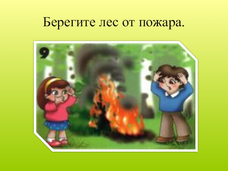 Презентация берегите. Не разводить костры. Не разводи костер. Не разжигай огонь без взрослых. Не разжигай костры. Береги лес от пожара.