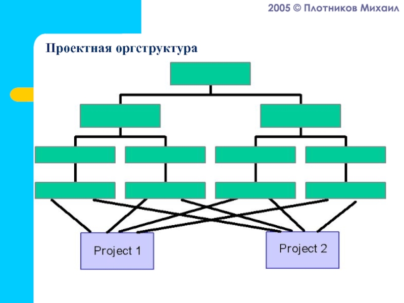 Теории организационных структур. Множественная оргструктура. Оргструктура для экосистем. Ячеистая оргструктура схема. Администратор это оргструк.