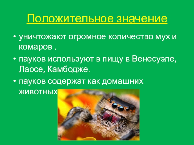 Влияние войны на экологию. Катон карфаген должен быть разрушен. Разрушенные фразеологизмы. Русские руны. Катон карфаген должен быть разрушен.