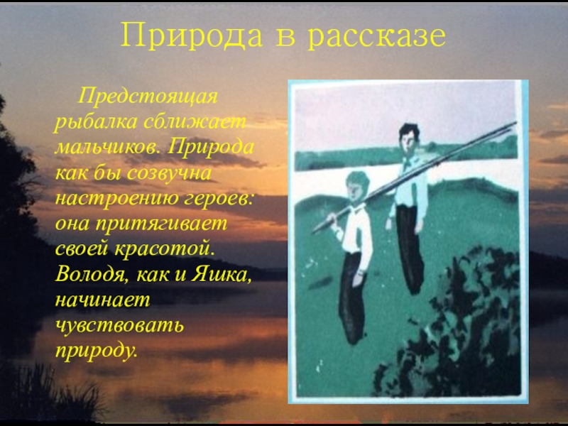 Характеристика володи из рассказа тихое утро по плану