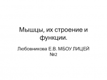 Презентация 8 класс. Мышцы: строение и функции