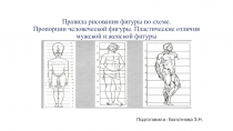 Презентация по дисциплине Скульптура и пластическая анатомия,Правила рисования фигуры по схеме.
