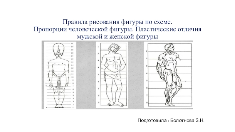 Объемное изображение человеческой фигуры или фигуры животного в рост это