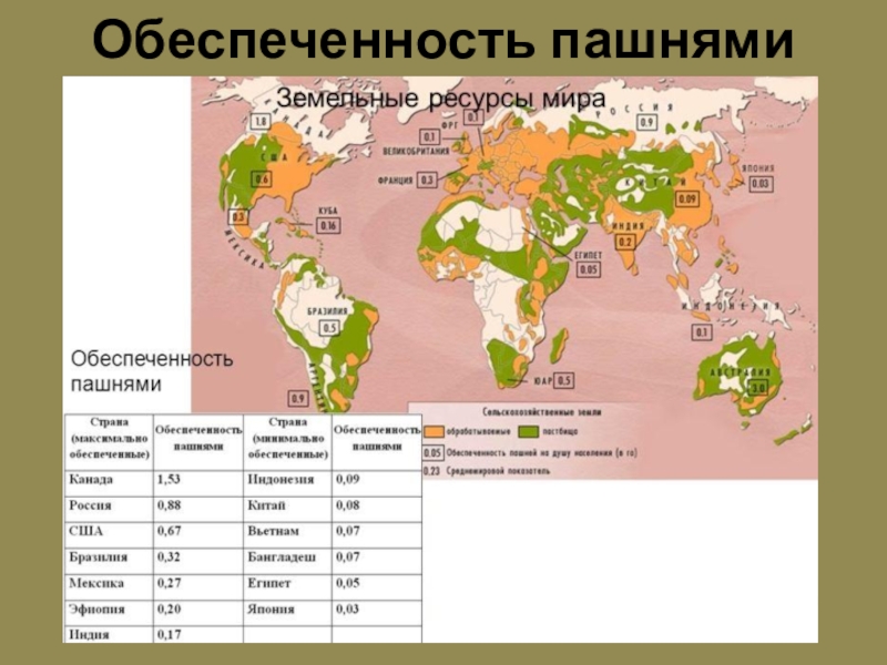 Географические различия в обеспеченности. Мировые земельные ресурсы. Обеспеченность земельными ресурсами. Обеспеченность стран пахотными землями. Обеспеченность пашней на душу населения.