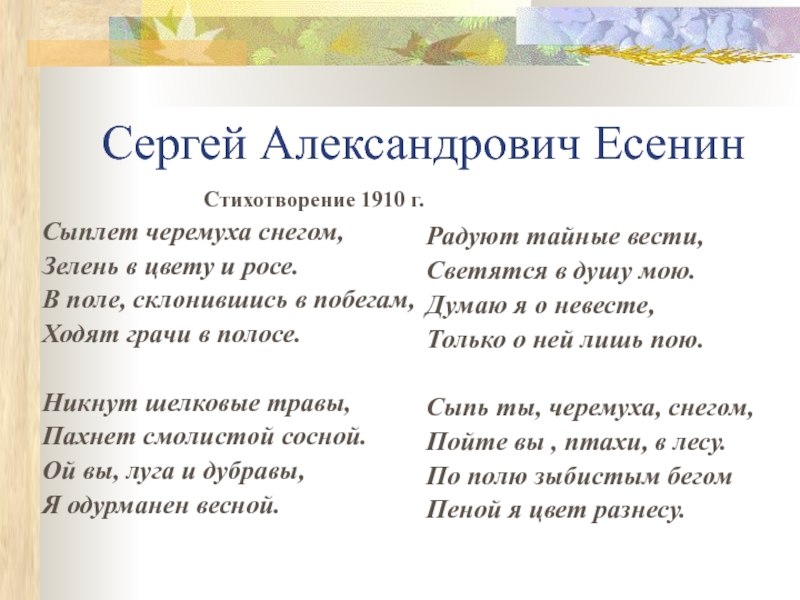 Есенин сыплет черемуха снегом презентация 3 класс перспектива