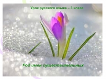 Презентация по русскому языку на тему Род имён существительных