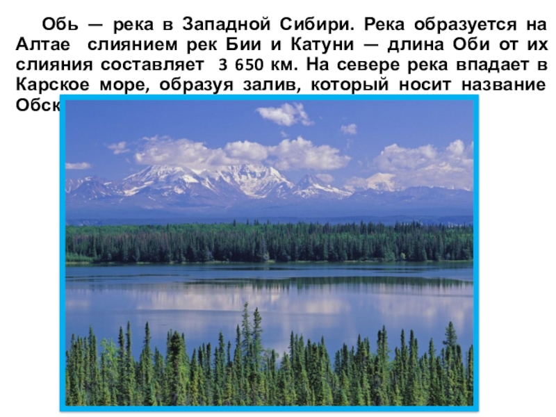 Река обь размеры. Западная Сибирь река Бия. Река Обь в Западной Сибири. Река Обь презентация. Доклад про Обь.