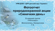 Фотоотчет акция Синичкин день