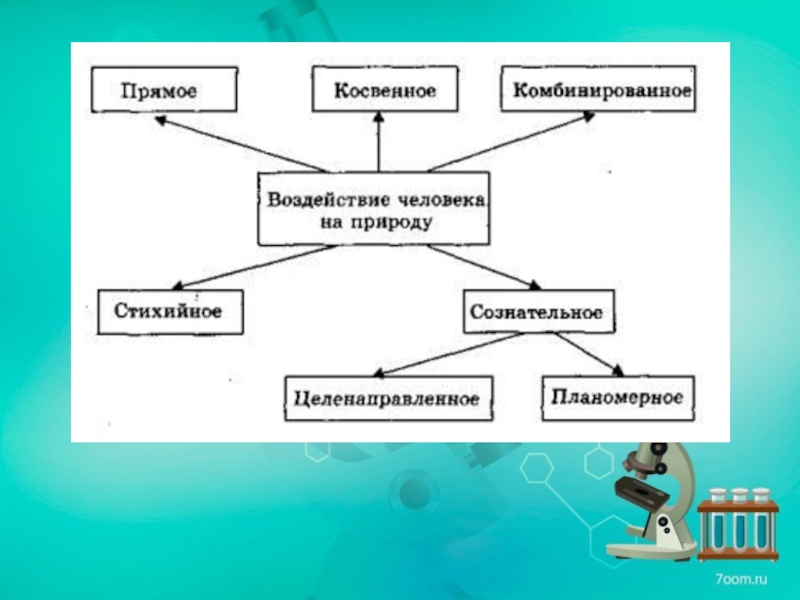 Проект по теме деятельность человека в природе