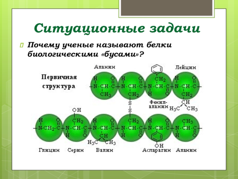 Презентация по химии аминокислоты