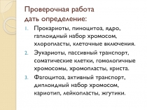 Презентация по биологии на тему Жизненный цикл клетки. Митоз
