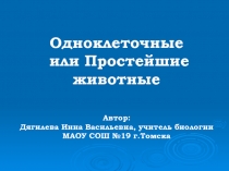 Презентация по биологии на тему Простейшие животные (7 класс)