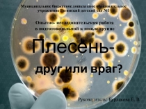 Презентация Плесень- друг или враг?