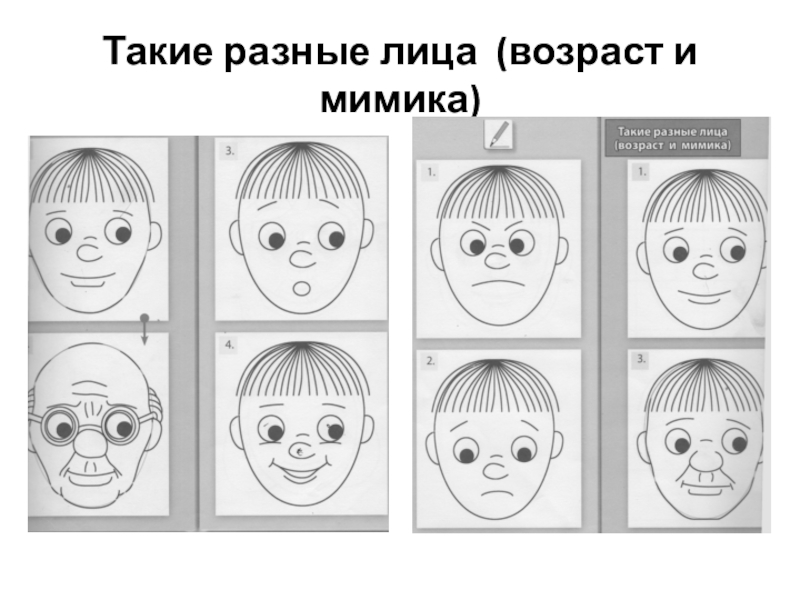 Презентация к уроку изо 2 класс пропорции выражают характер школа россии