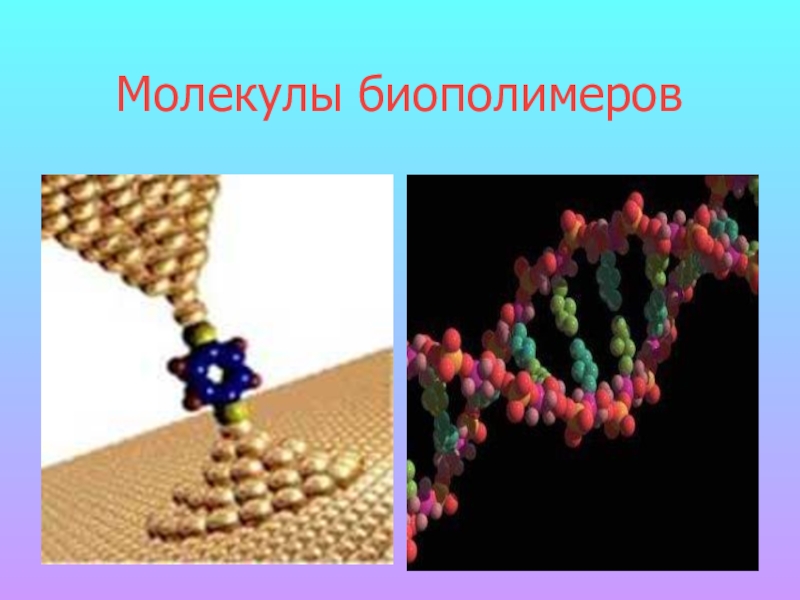 Биополимеры состоят. Молекулы биополимеров. Формирование биополимеров. Биополимеры это в биологии кратко. Искусственные биополимеры.
