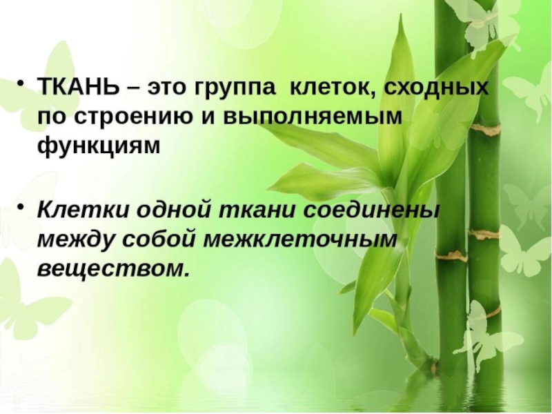 Презентация по биологии 6 класс. Презентация по биологии 6 класс тема ткани растений. Ткани растений и животных 6 класс. Ткань это группа клеток сходных по строению и выполняющих. Ткани растительные и животные презентация.