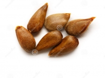 Презентация по математике 1 класс Раньше.Позже.Сначала.Потом.