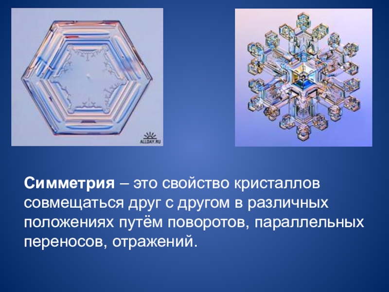 Презентация о симметрии 6 класс