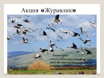 Презентация внеклассного мероприятия Акция Журавлик