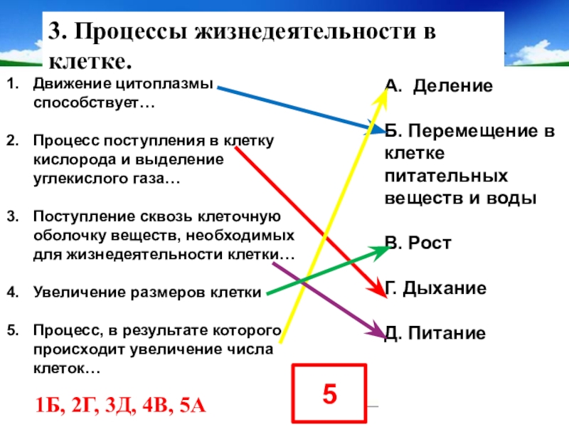 Установите соответствие процесс. Процессы жизнедеятельности клетки. Основные процессы жизнедеятельности клетки. Процессы жизнедеятельности клетки таблица. Перечислите основные процессы жизнедеятельности клетки.