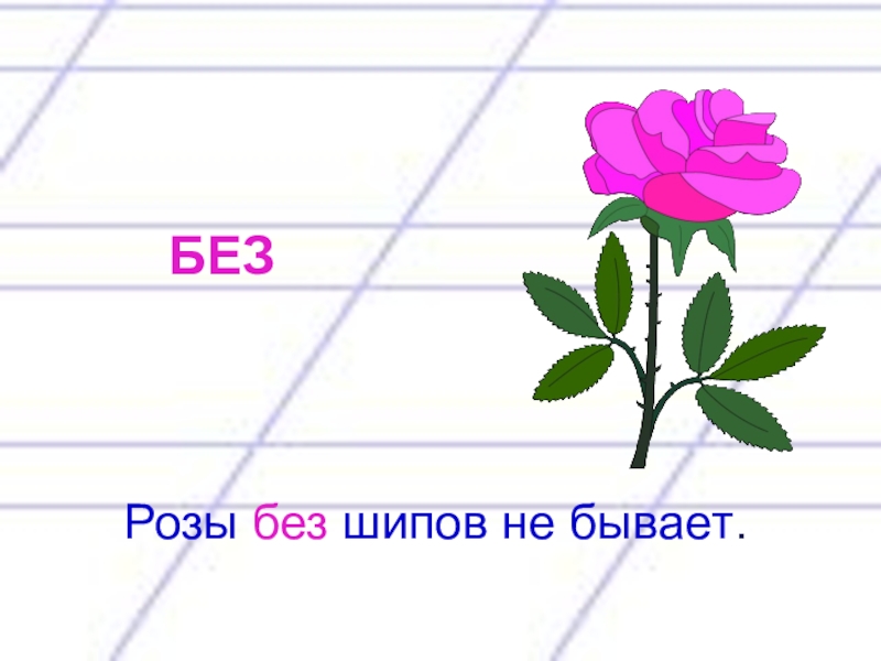 Что без чего не бывает. Нет розы без шипов пословица. Нет розы без шипов. Игра что без чего не бывает. Нет розы без шипов значение.