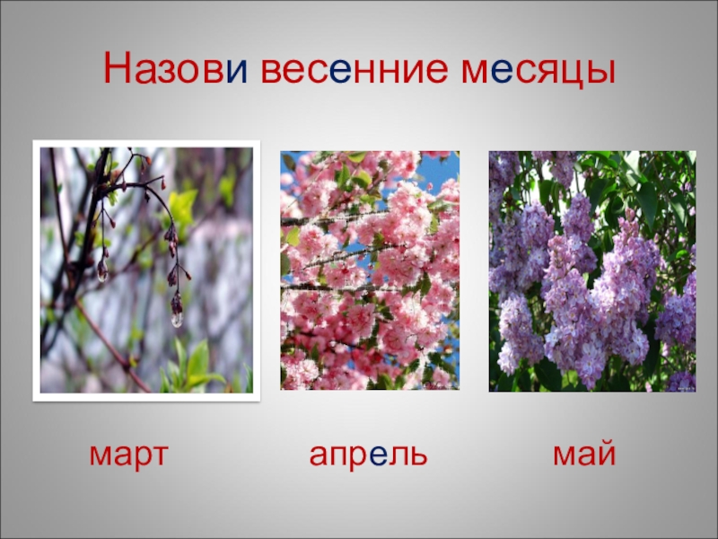 Так в народе называют весенние месяцы март. Назови весенние месяцы. Март апрель май. Март апрель май картинки для детей. Весенние месяцы картинки.