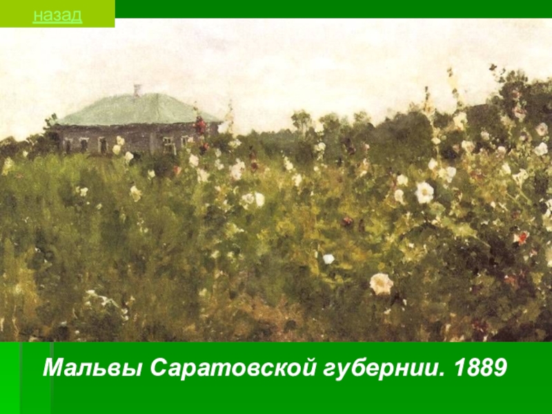 Мальвы Саратовской губернии. 1889Мальвы Саратовской губернии. 1889назад