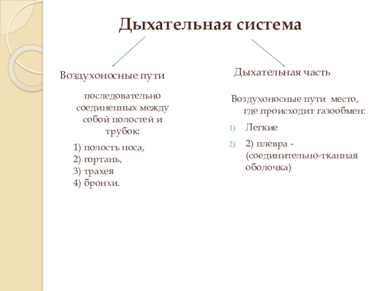 Воздухоносные пути таблица. Кроссворд на тему воздухоносные пути. Кроссворд воздухоносные пути. Кроссворд воздухоносные пути для студентов.