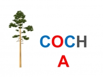 Презентация по обучению грамоте Буква С