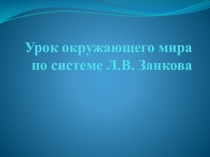 Презентация по окружающему миру на тему Зачем нужна гигиена 4 класс, система Л.В. Занкова