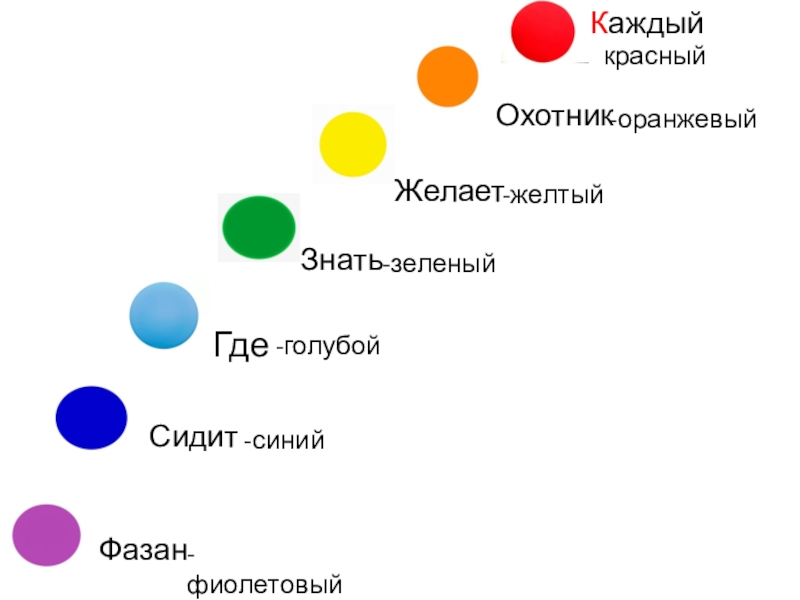 Каждый охотник желает знать где сидит фазан цвета радуги фото по порядку список