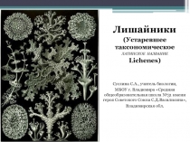 Презентация по биологии по теме Лишайники (5-6 класс)