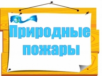 Природные пожары