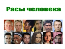 Презентация по биологии на тему Расы человека (8 класс)